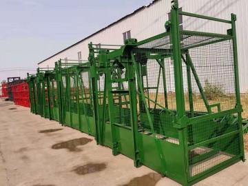 SS80/80雙籠物料提升機